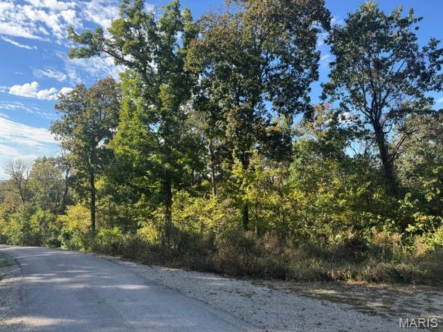 Living room — Lot 14 Hidden Sky Court Washington Missouri real estate