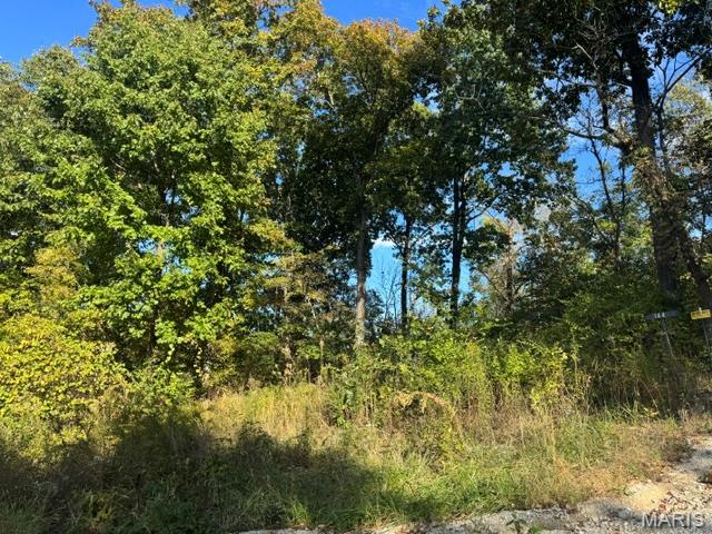 Kitchen — Lot 14 Hidden Sky Court Washington Missouri real estate