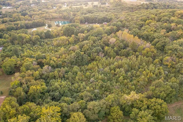 Primary bedroom — 941 Page Branch Road Elsberry Missouri real estate