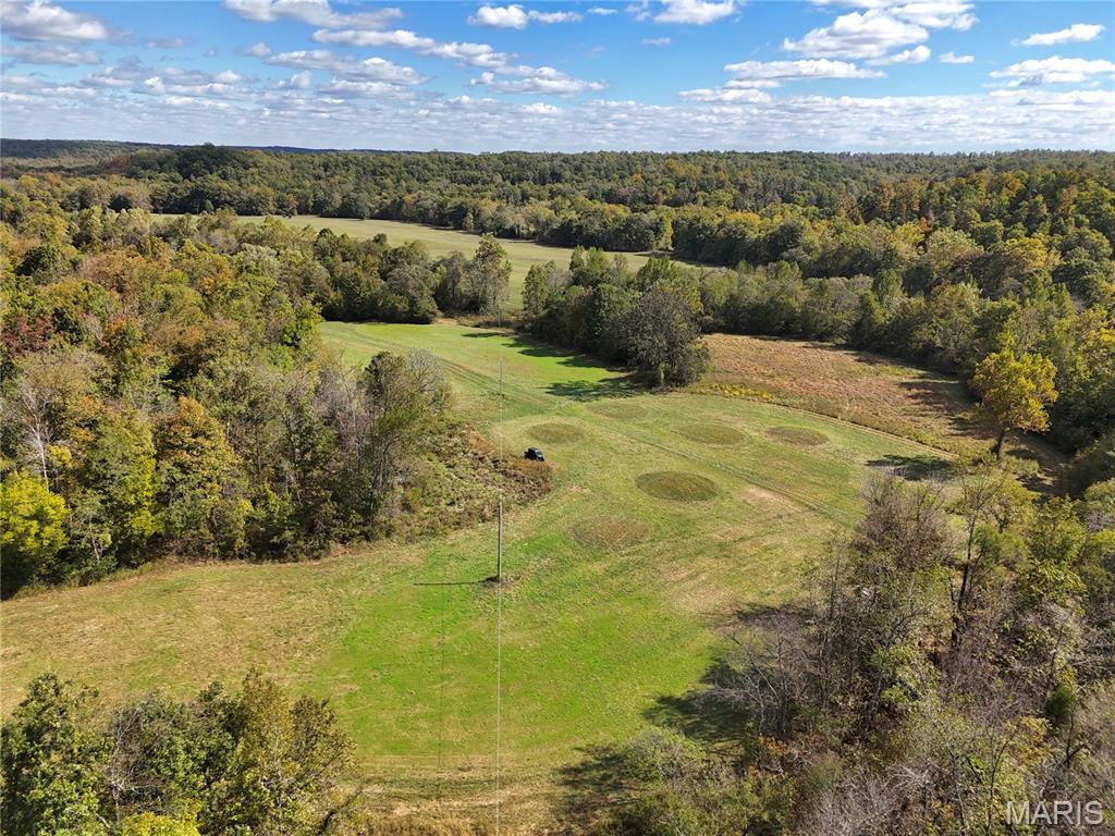 1247 Forest Road 61 Doniphan Missouri home for sale listed at $599,900