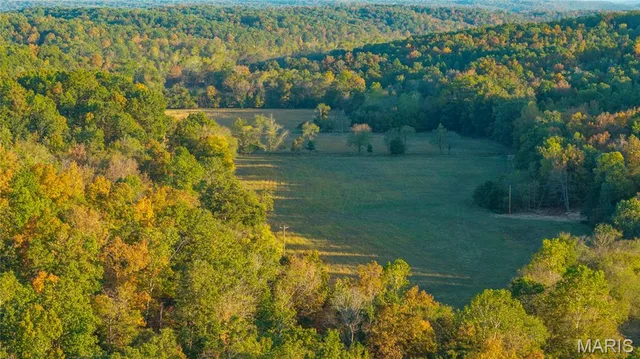 57 Wayne 352, Piedmont MO