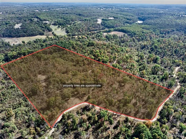 27588 Mimosa Lane, Lebanon MO