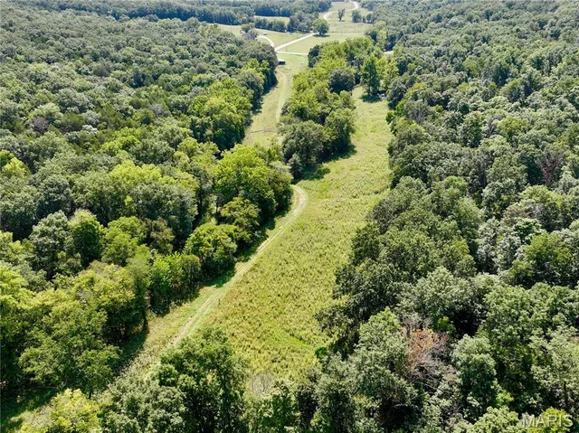 Primary bedroom — LOT 3 Tanglefoot Farms Road Festus Missouri real estate