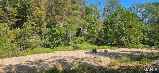 Primary bedroom — 0 Brushy Creek Road Houston Missouri real estate