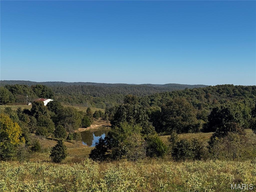 16065 HWY 142W Gatewood Missouri 2 bedroom 1 bathroom home for sale listed at $3,699,000
