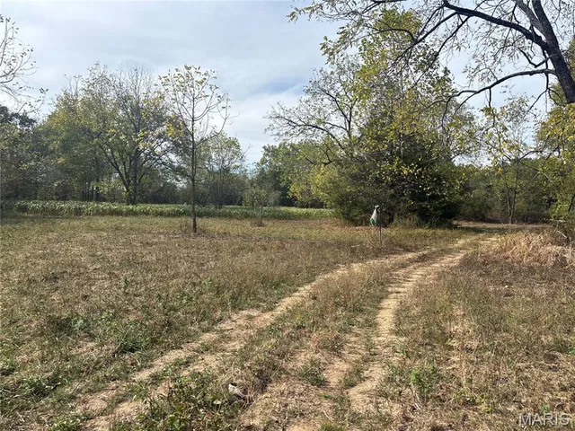 Front exterior — 1223 State Route Yy Summersville Missouri real estate