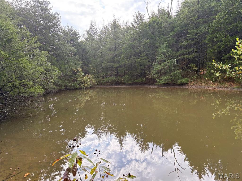 TBD Barton School Road Brumley Missouri home for sale listed at $599,000