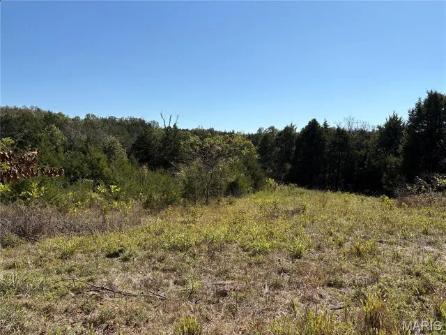 Kitchen — TBD Barton School Road Brumley Missouri real estate