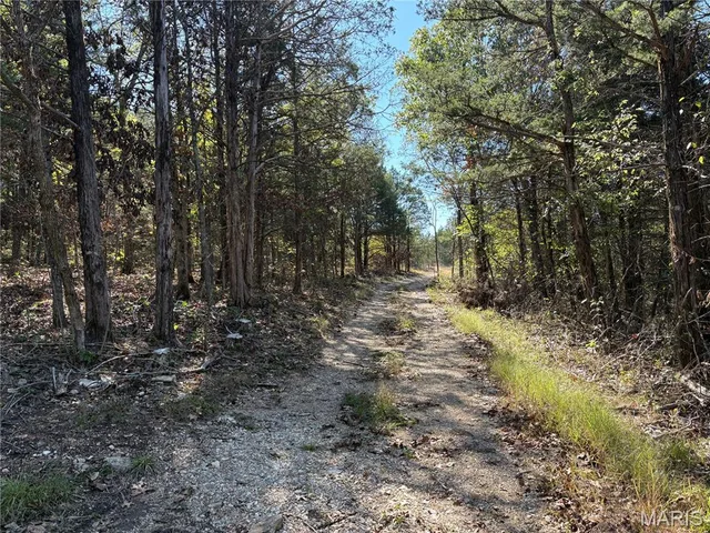 Primary bedroom — TBD Barton School Road Brumley Missouri real estate