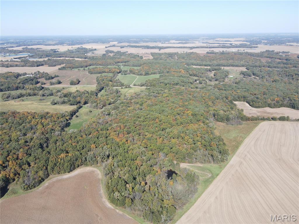 70 Marion County Road 204 Monroe City Missouri home for sale listed at $595,000
