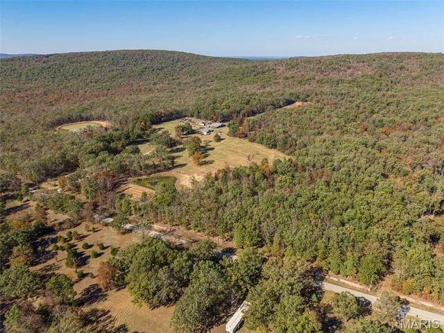 Primary bedroom — 1425 Kings School (90 acres) Road Ironton Missouri real estate