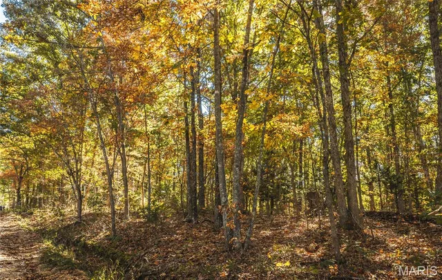 Primary bedroom — TBD Highway 19 Steelville Missouri real estate
