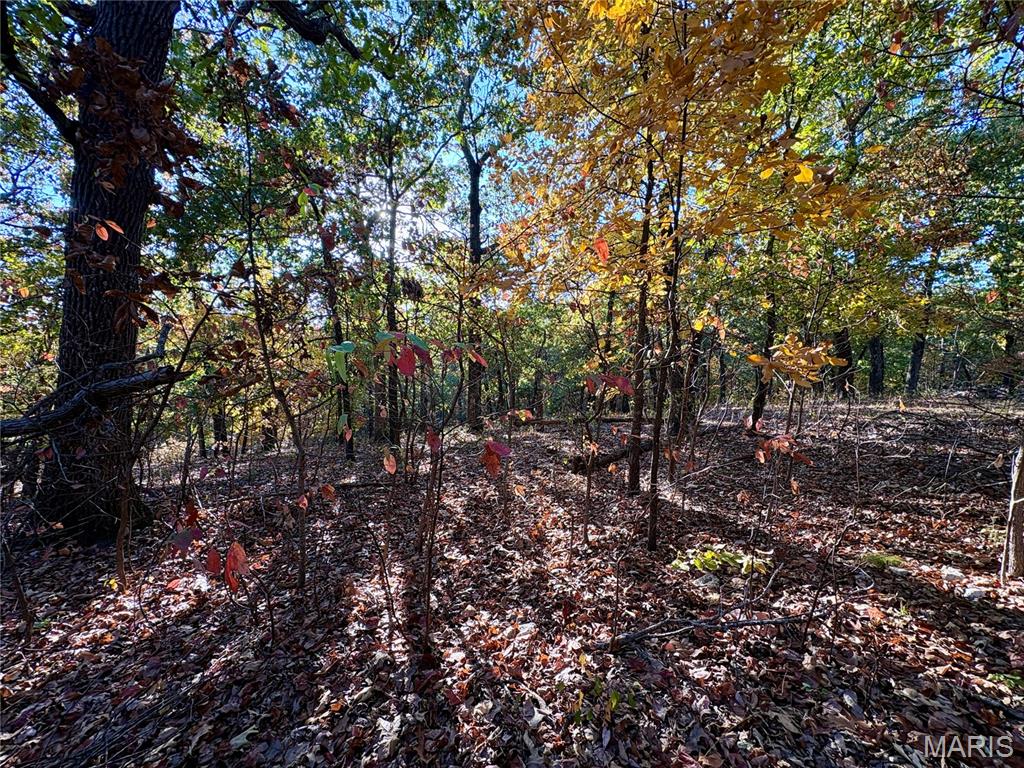000 Walking Horse Lane St Mary Missouri home for sale listed at $30,000