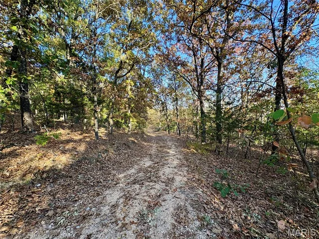 Kitchen — 000 Walking Horse Lane St Mary Missouri real estate