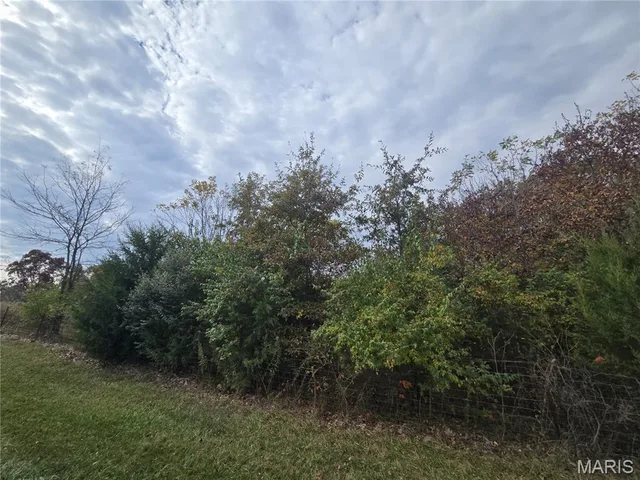 Front exterior — 10 +/- Acres Harmony Lane Hawk Point Missouri real estate