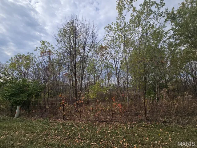 Kitchen — 10 +/- Acres Harmony Lane Hawk Point Missouri real estate