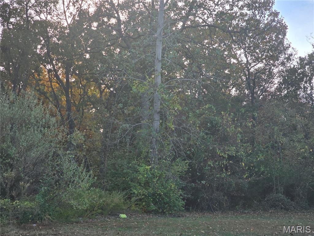 000 Treetop Road St Robert Missouri home for sale listed at $15,000