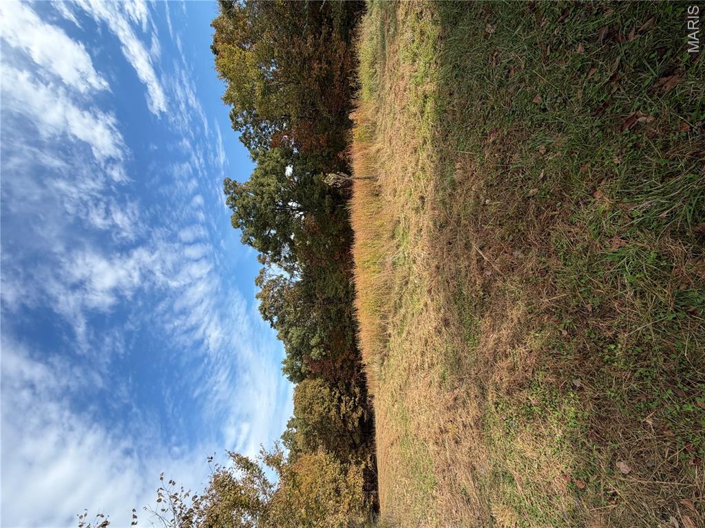 Photo 49