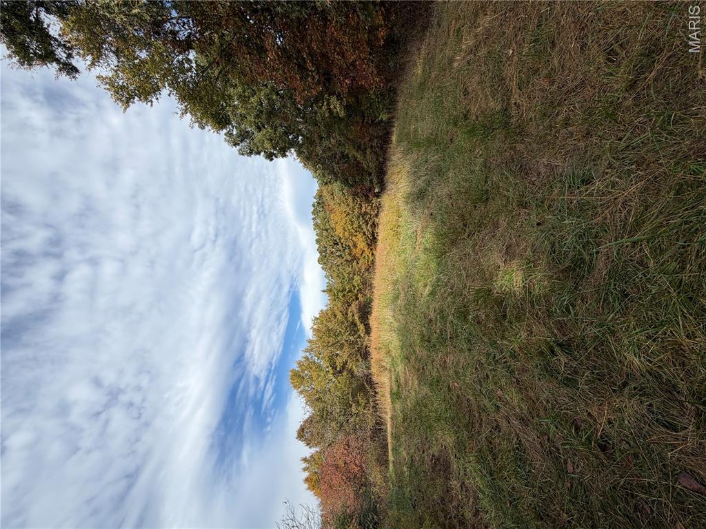 Photo 50