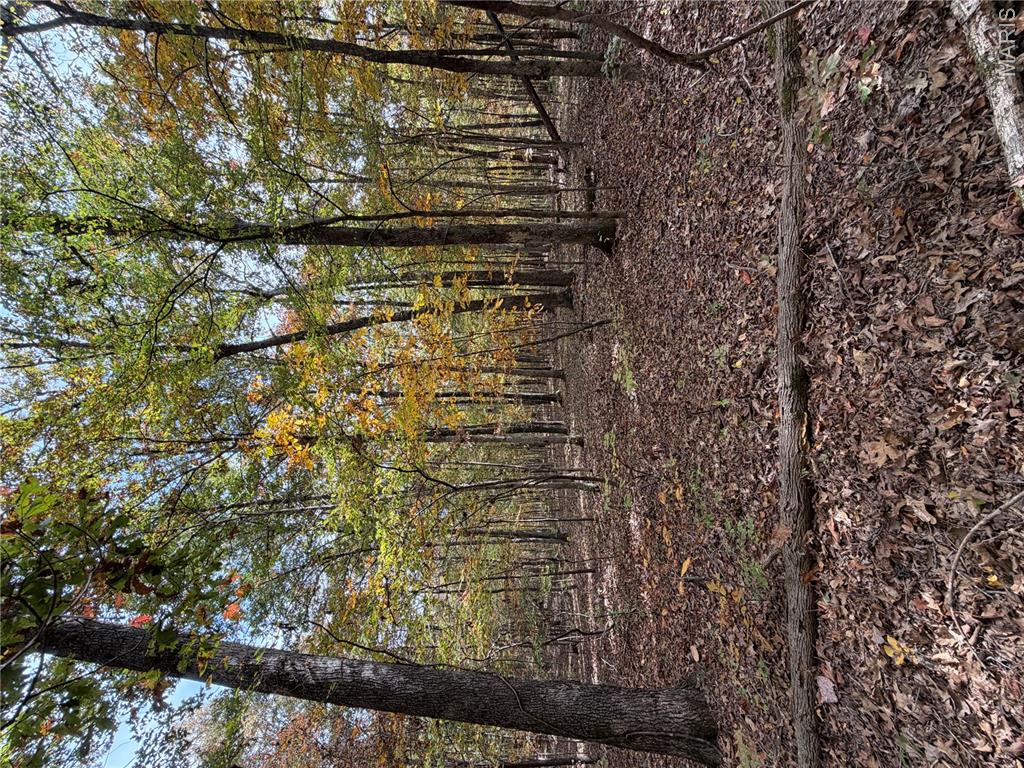Photo 84
