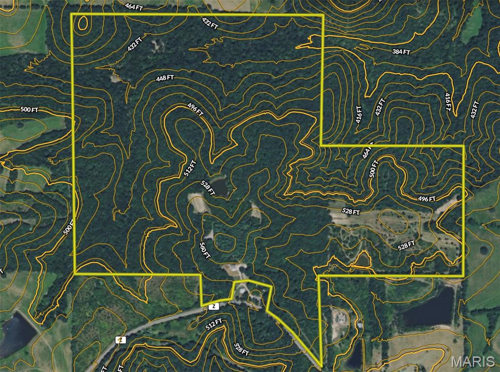 Photo 98