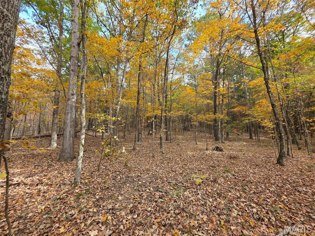 Tract 5 Madison 411 Fredericktown Missouri home for sale listed at $82,500