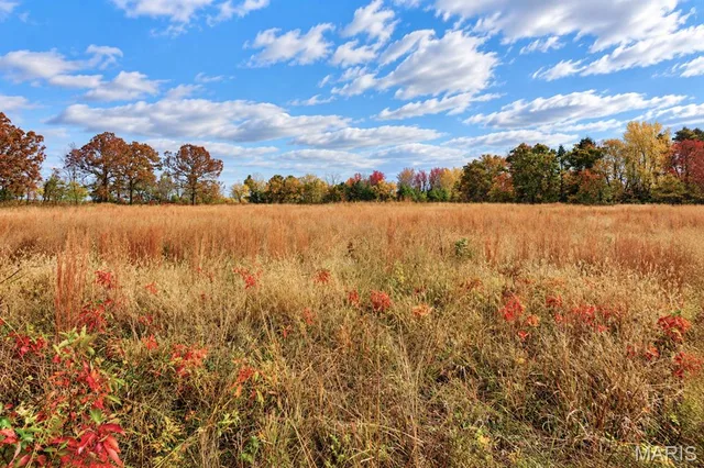 Primary bedroom — 7.53 +/- ac Old Wire Outer Road Rolla Missouri real estate