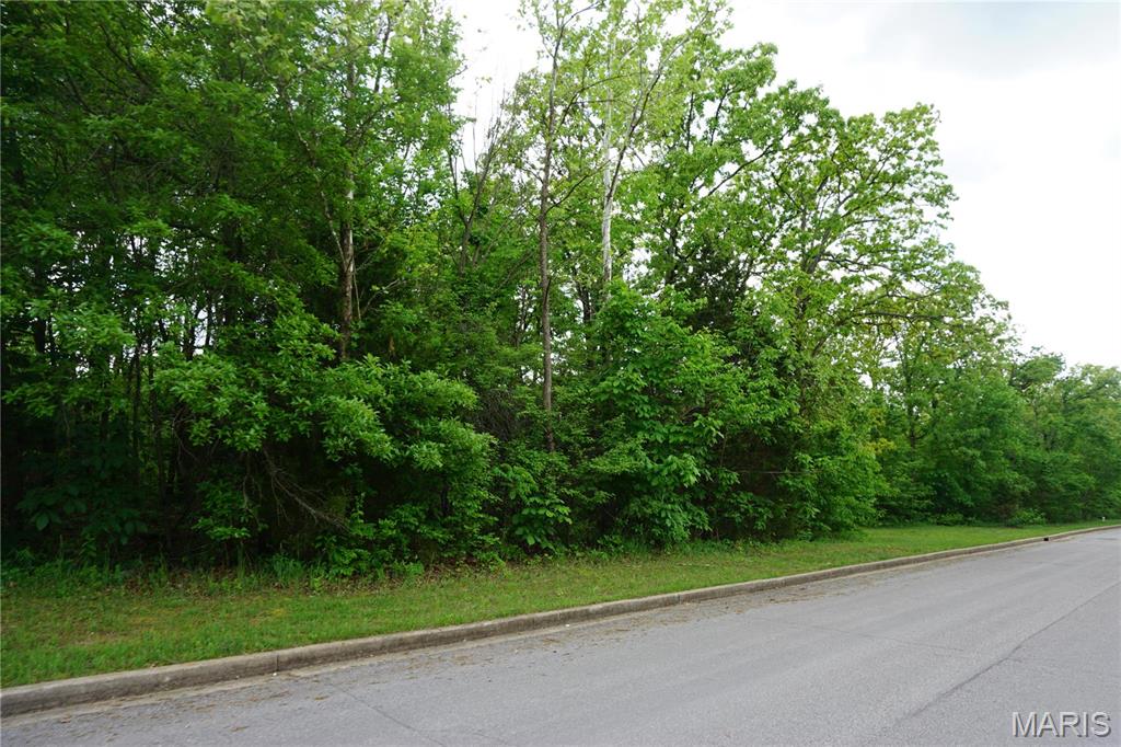 0 Columbia Avenue Lot 20 Rolla Missouri home for sale listed at $17,900