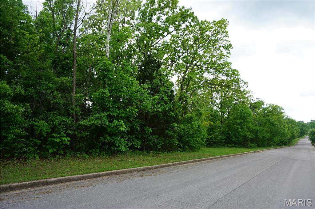 Front exterior — 0 Columbia Avenue Lot 20 Rolla Missouri real estate