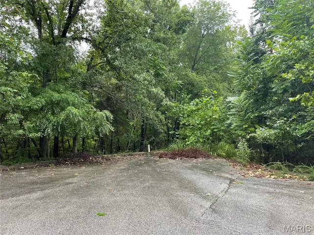 Front exterior — 0 El Loma Street Waynesville Missouri real estate