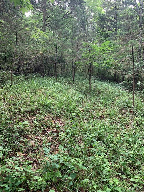 Living room — 0 Lot 62.01 acres Hillsboro Missouri real estate
