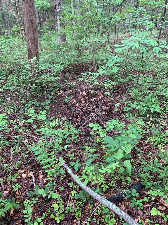 Kitchen — 0 Lot 62.01 acres Hillsboro Missouri real estate