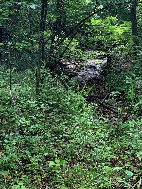 Primary bedroom — 0 Lot 62.01 acres Hillsboro Missouri real estate