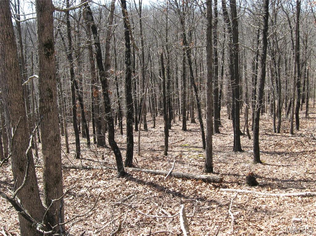 0 Superior Road St Robert Missouri home for sale listed at $125,000