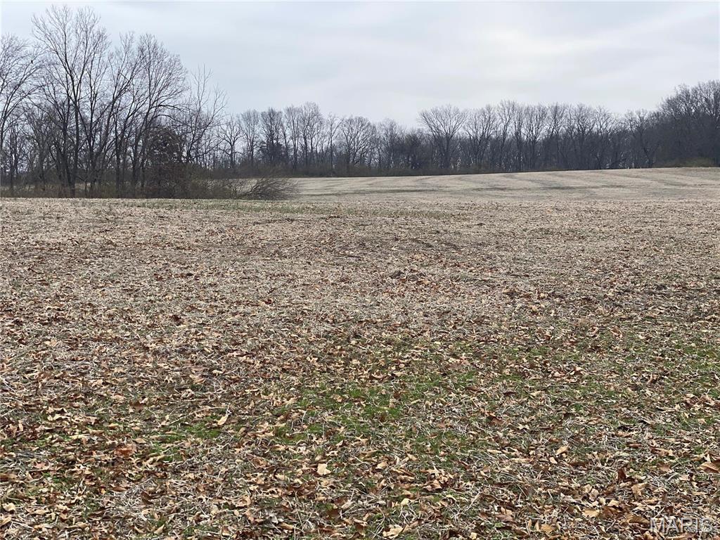 30 Elm Tree Road Moscow Mills Missouri home for sale listed at $1,950,000
