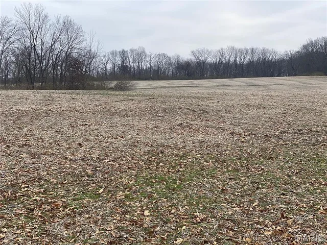 30 Elm Tree Road, Moscow Mills MO real estate