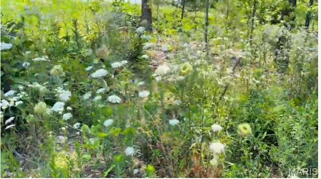 0 County Road 3440 Mountain View Missouri home for sale listed at $109,900