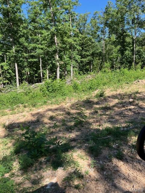 Front exterior — 62 Madison CR 410 Fredericktown Missouri real estate