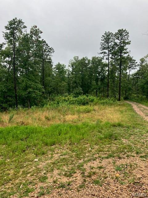 67 Madison CR 410 Fredericktown Missouri home for sale listed at $24,495