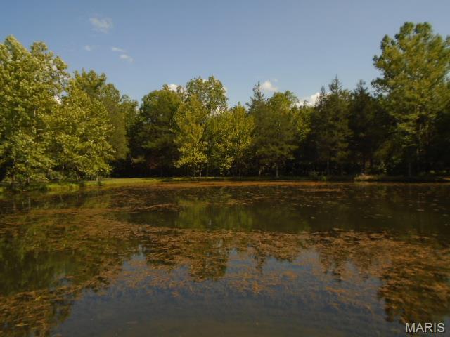 0 County Road 135, Annapolis MO real estate