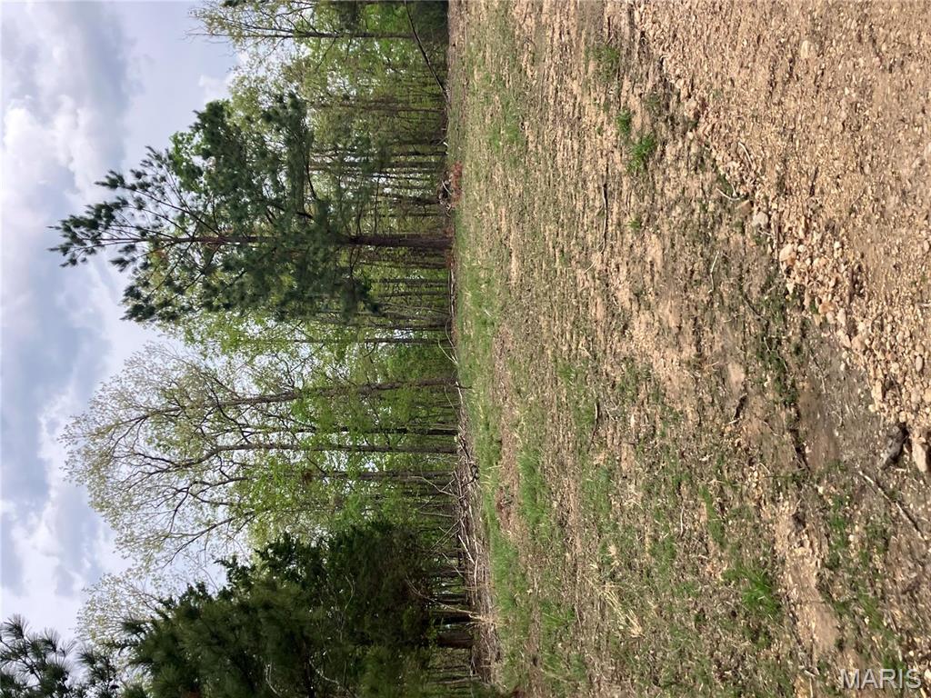 29 Madison CR 410 Fredericktown Missouri home for sale listed at $239,900