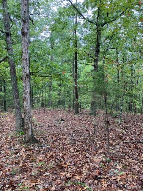 34 Madison CR 410 Fredericktown Missouri home for sale listed at $59,995