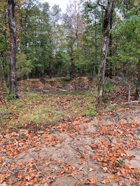 Front exterior — 47 Madison CR 410 Fredericktown Missouri real estate