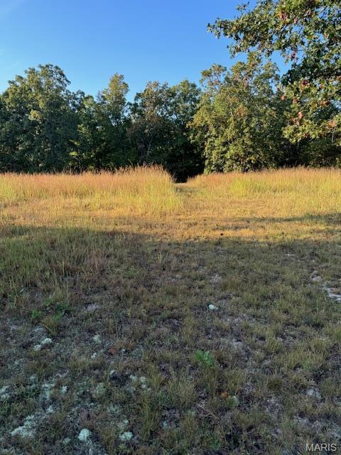 Front exterior — 0 TBD S US HIGHWAY 63 Edgar Springs Missouri real estate