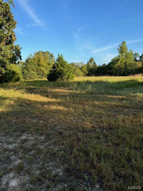 Living room — 0 TBD S US HIGHWAY 63 Edgar Springs Missouri real estate