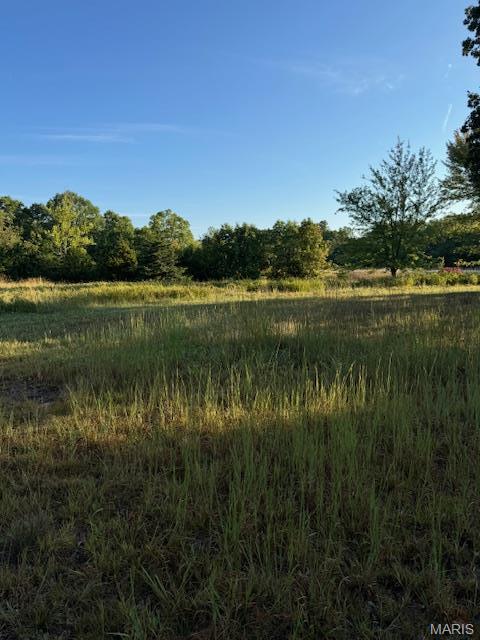 Kitchen — 0 TBD S US HIGHWAY 63 Edgar Springs Missouri real estate