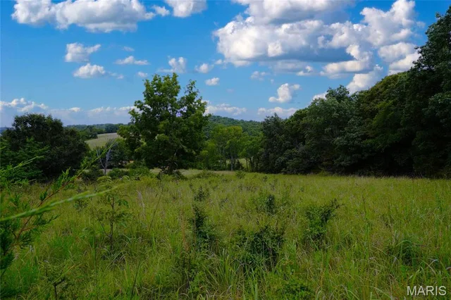 Kitchen — 28 Acres Hwy 100 Hermann Missouri real estate