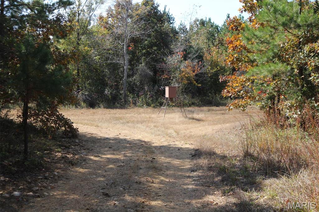 Photo 48