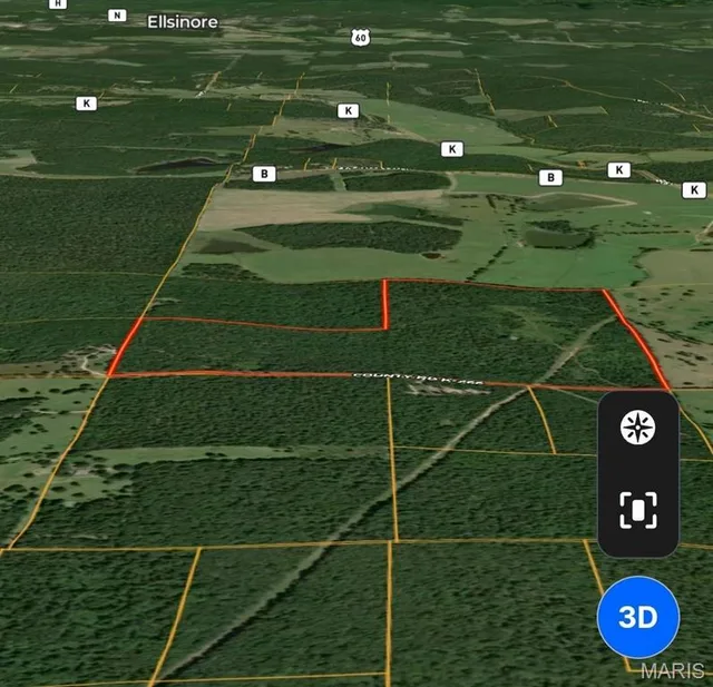 0 Carter Route 266, Grandin MO real estate