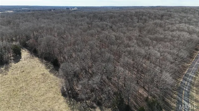 Front exterior — TBD Tract 1 Highway CC Salem Missouri real estate